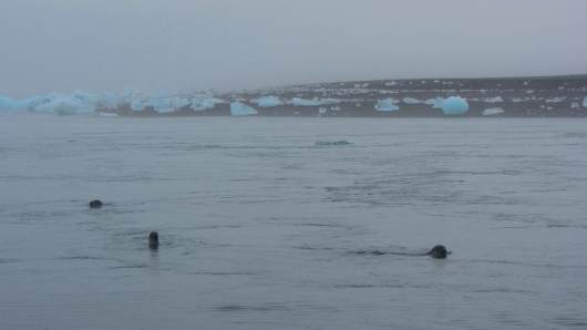 ijsland reisverhaal 2011 - Jokularson